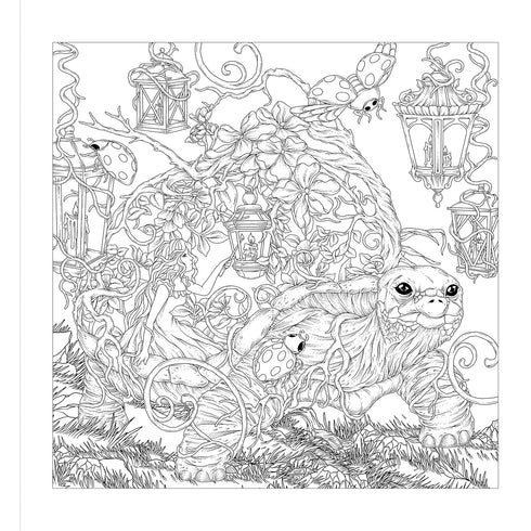 MYTHOGRAPHIC COLOR AND DISCOVER: MAGICAL EARTH - CATIMBANG. JOSEPH